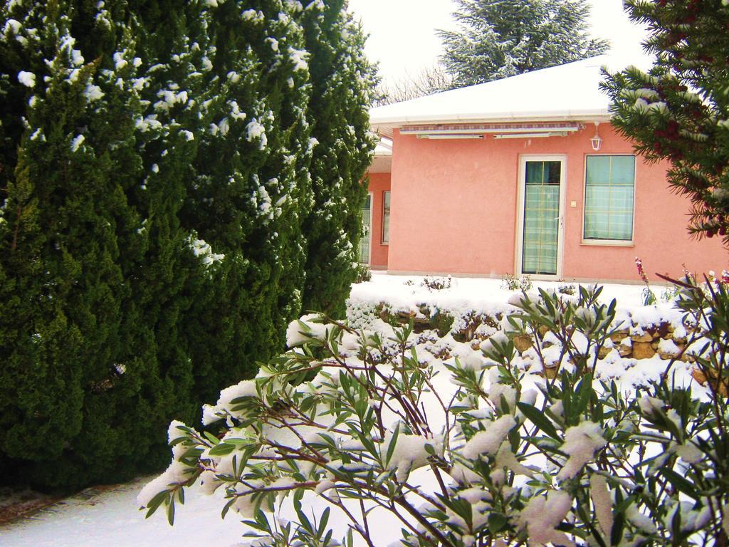 Feszek Apartmanhaz Vonyarcvashegy Exterior photo