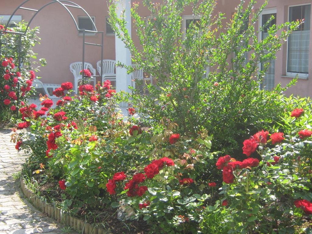 Feszek Apartmanhaz Vonyarcvashegy Exterior photo